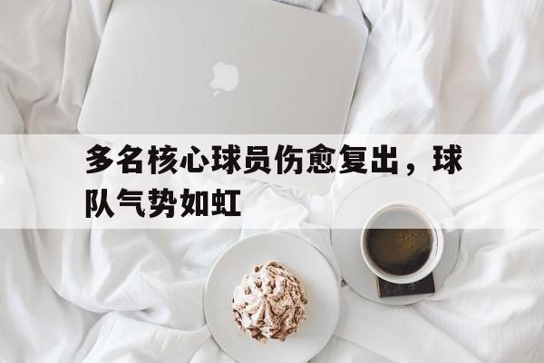 半岛体育全站-关于多名核心球员伤愈复出，球队气势如虹的信息-半岛体育全站