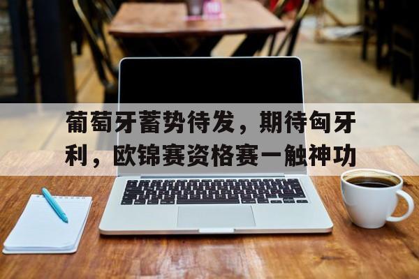 半岛体育-葡萄牙蓄势待发，期待匈牙利，欧锦赛资格赛一触神功的简单介绍-半岛体育
