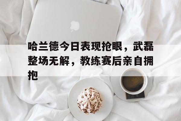 哈兰德今日表现抢眼,武磊整场无解,教练赛后亲自拥抱 哈兰德今日表现抢眼,武磊整场无解,教练赛后亲自拥抱